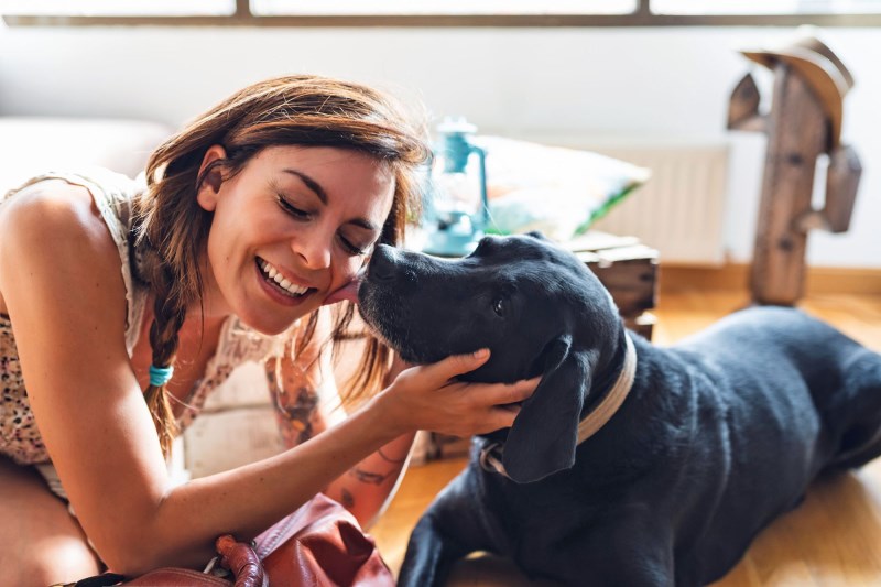 Celebrate National Black Dog Day With These 18 Adorable Dogs