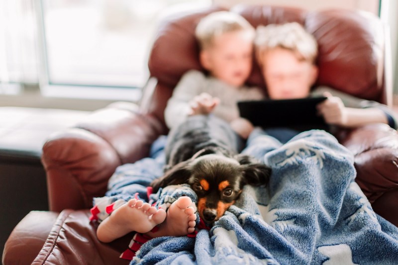 Here’s How to Keep Your Pets Safe Around Your Recliner