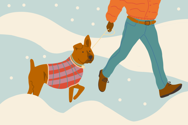 How Cold Is Too Cold for Dogs To Go Outside in the Winter?