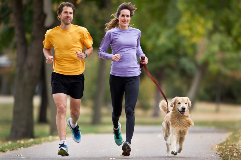 How to Safely Start Running With Your Dog