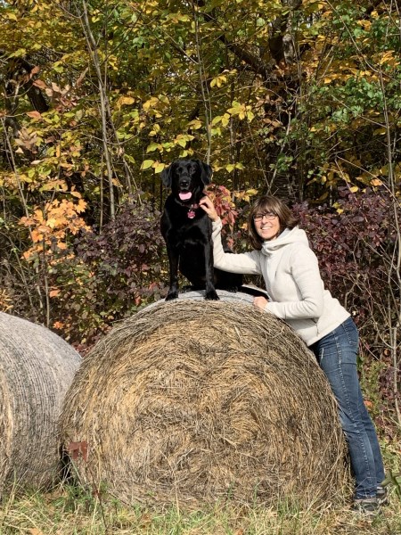 All Paws on Deck: How to Go Kayaking With Your Dog