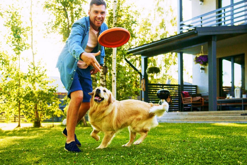 9 Fun, Easy Tricks to Teach Your Dog (for Beginners or More Advanced Pet Parents)