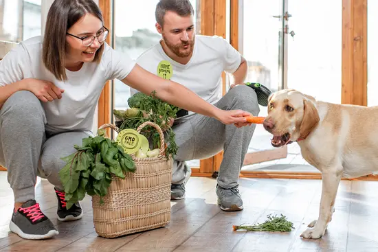 Should Your Dog Go Vegan?