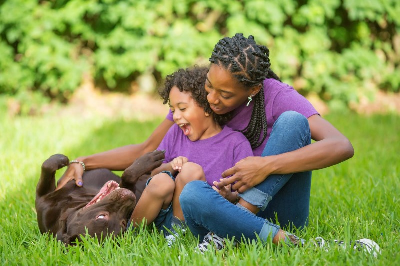 130+ Chocolate Lab Names For Your Sweet and Silly Coco Pup