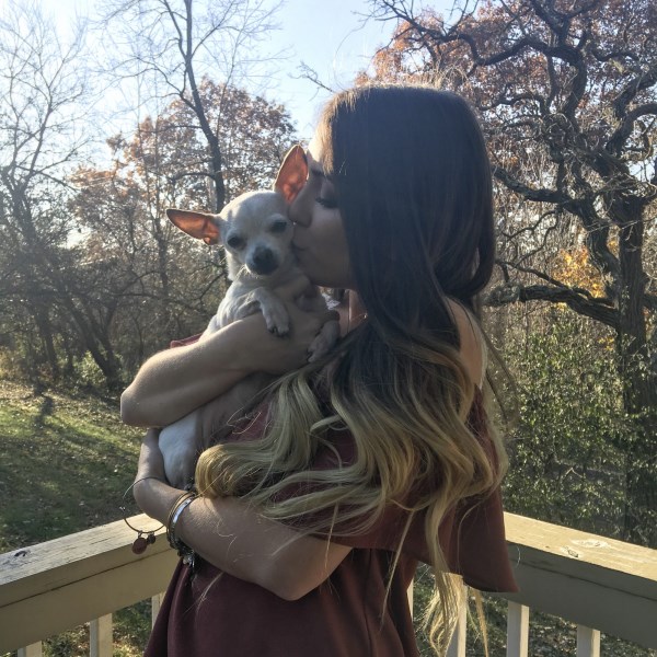 These 13 Dogs Visiting the Apple Orchard Are Giving Us Autumn Vibes in the Best Way