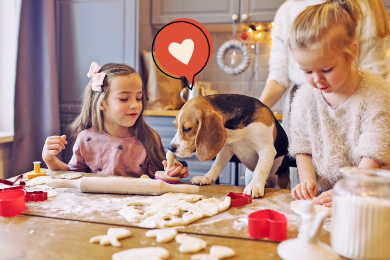 10 Delicious Homemade Treats to Make With Your Dog This Valentine’s Day