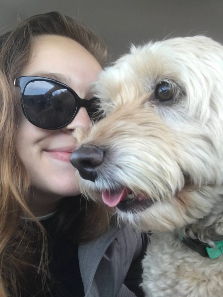 165 Labradoodle Names as Lovable as Your New Pup