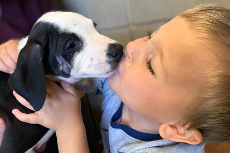 Toddler, Puppy Both Have Cleft Lips, Now Are Best Buds