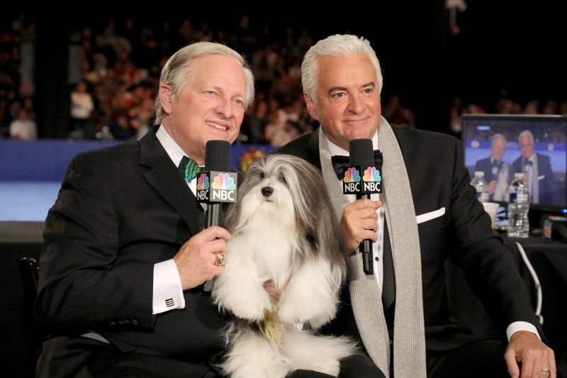 Hosts David Frei and John O’Hurley Will Be Watching the National Dog Show from Home—Just Like Us