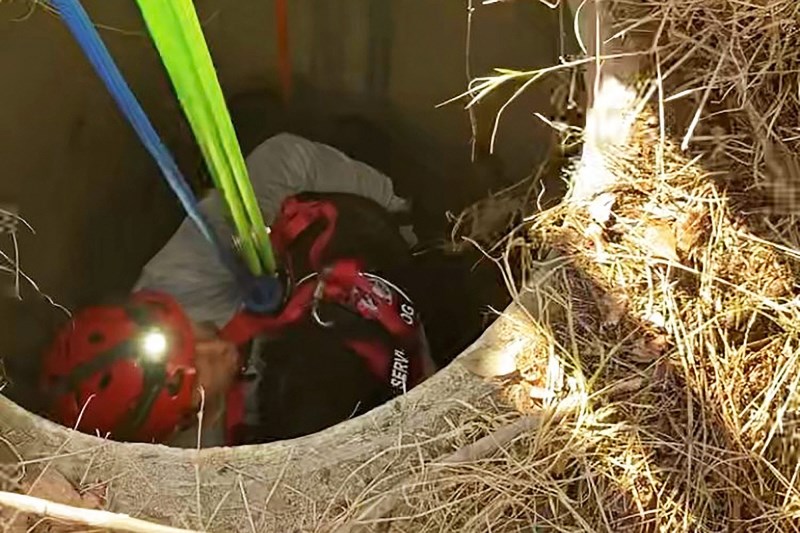 Video Shows Dramatic Moment When Firefighters Rescue Dog Who’d Fallen 20 Feet