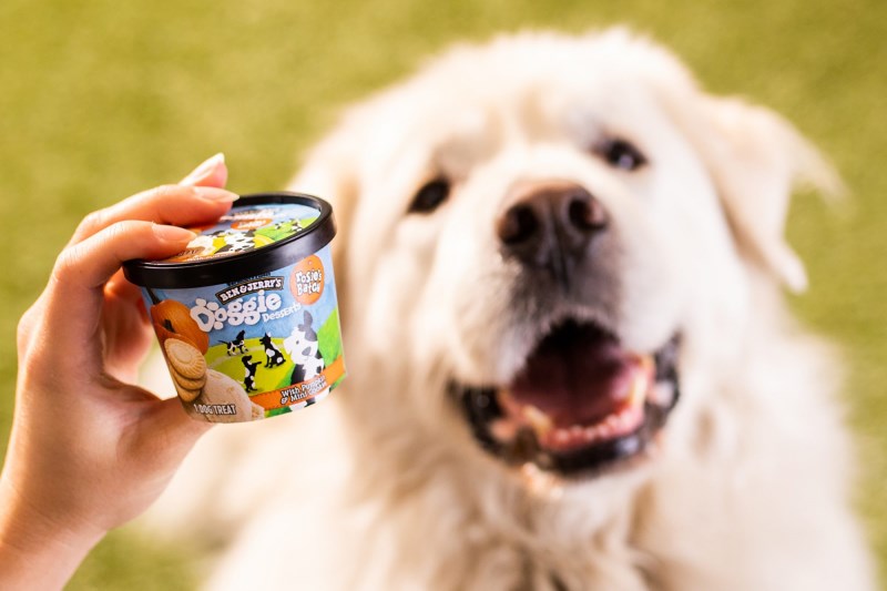 Ben & Jerry’s Introduces Ice Cream for Dogs: Doggie Desserts