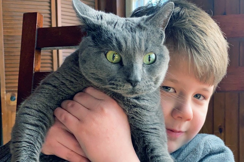 ‘I’ve Pet That Dog’ Inspires Brother To Pet As Many Cats As He Can