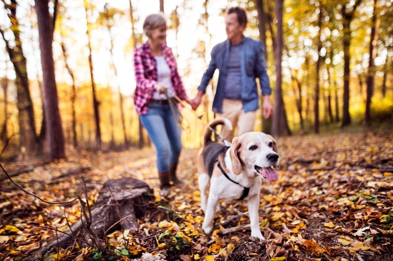 Ginger the Dog a ‘Matchmaker’ for Elderly Iowa Couple