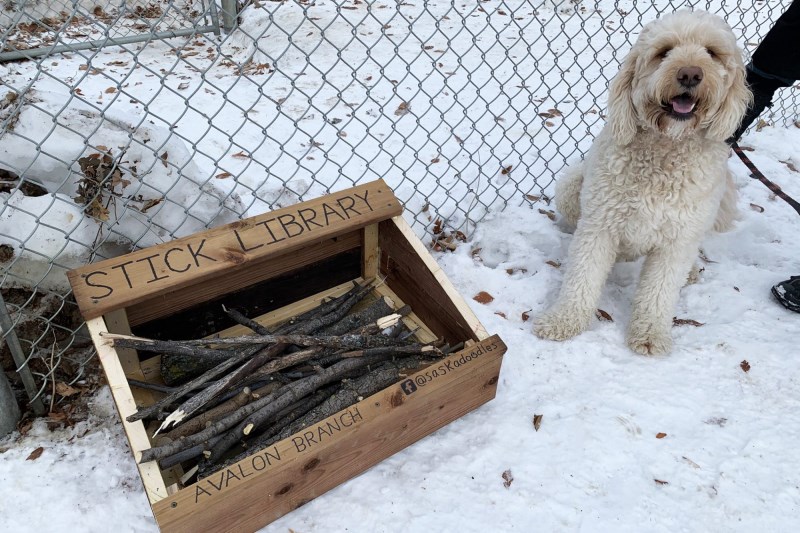 Great Idea! Father-Son Duo Build Stick Libraries for Local Dogs