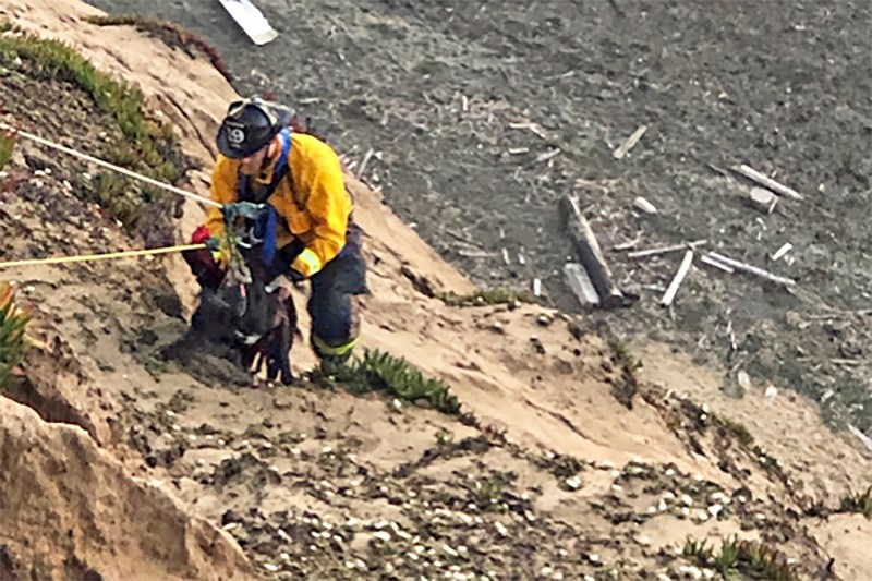 Firefighter Rappels Down Cliffside To Rescue Fallen Puppy