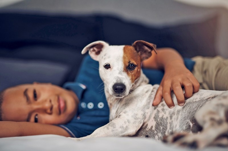 More Than Half of Americans Adopted Pets During the Pandemic Because of Loneliness, Survey Says