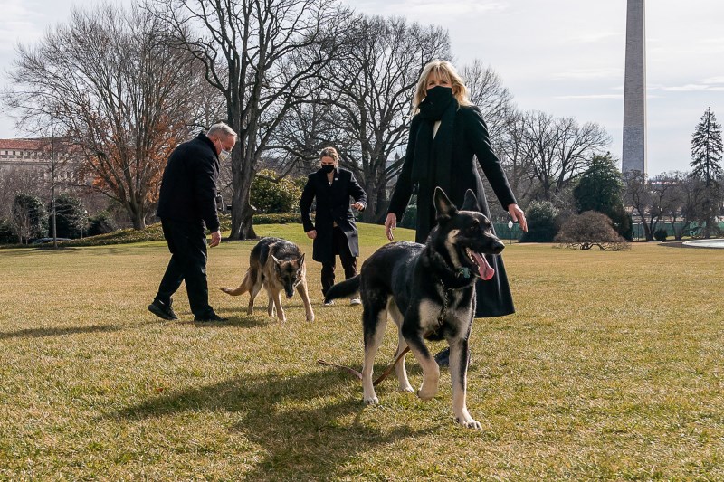 Champ, Major Biden Return to White House