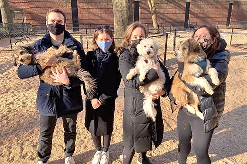 Dog Dad and 2 Sons Were Adopted from a Texas Shelter. Then They Reunited in New York City