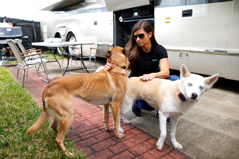 Ouch! Danica Patrick Gets Clawed While Saving Dog from Coyote