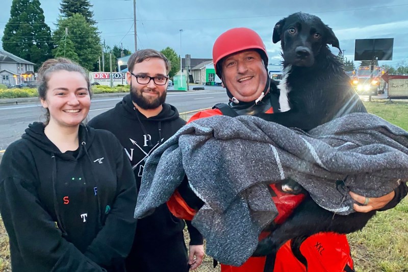 Oregon Firefighters Descend into Canal to Rescue Soaked, Stranded Dog