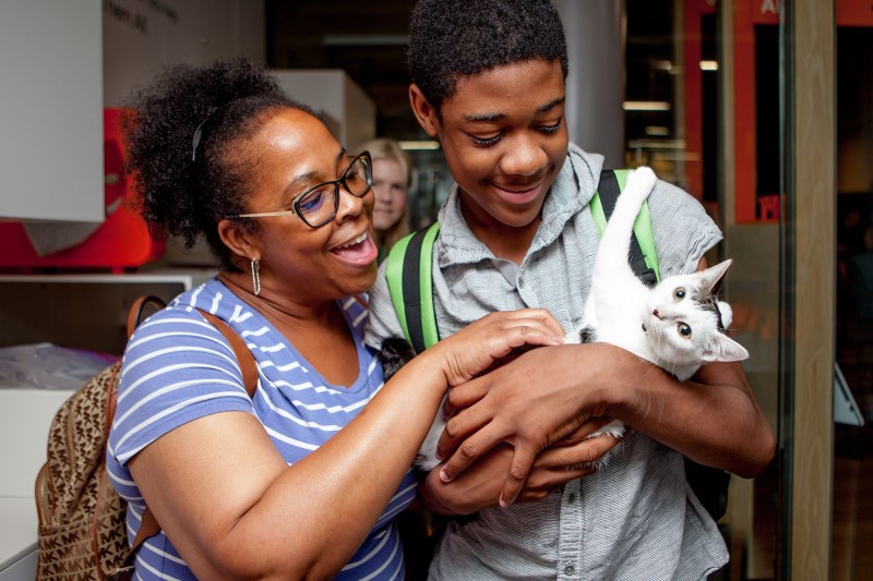 About 278,000 Fewer Dogs and Cats Were Euthanized in U.S. Animal Shelters Last Year