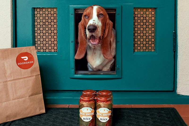 DoorDash Wants to Deliver Free Busch Dog Beer To Your House