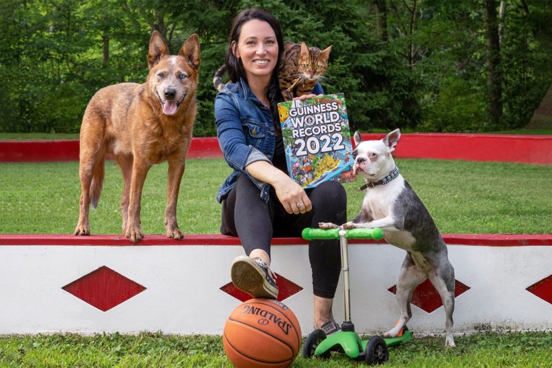 Adorable Boston Terrier and Bengal Cat Partner Together to Set Scooter-Riding World Record