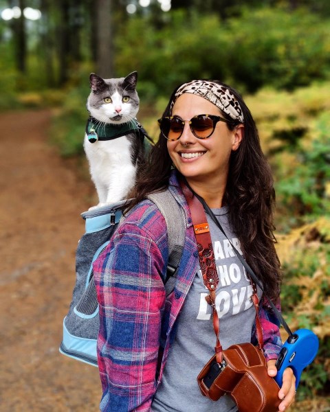 After 7 Weeks in Jasper National Park, Adventure Cat Draco Finally Rescued and Reunited With Family