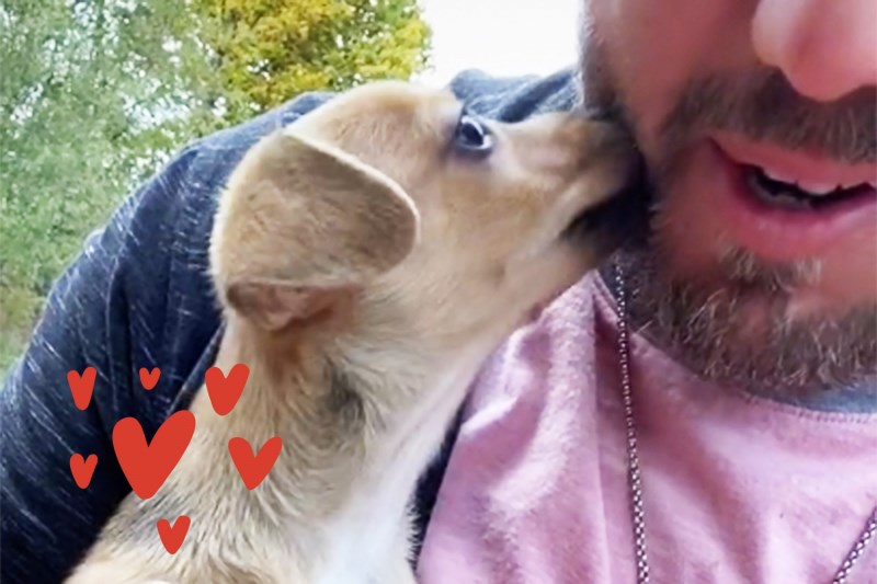 Meet Joe Kay, the Man Behind Your Favorite Dog Adoption Videos on TikTok