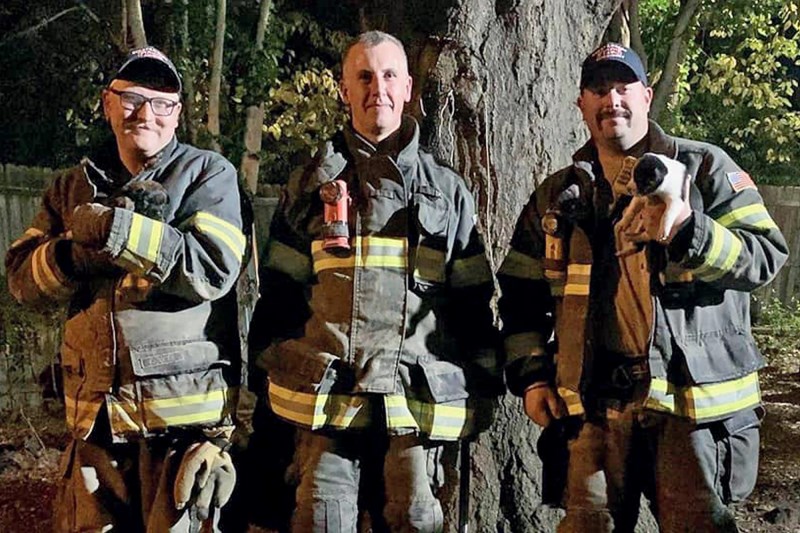 With Mama Dog’s Help, Firefighters Save 2 Tiny Puppies Who Were Stuck in Ventilation System