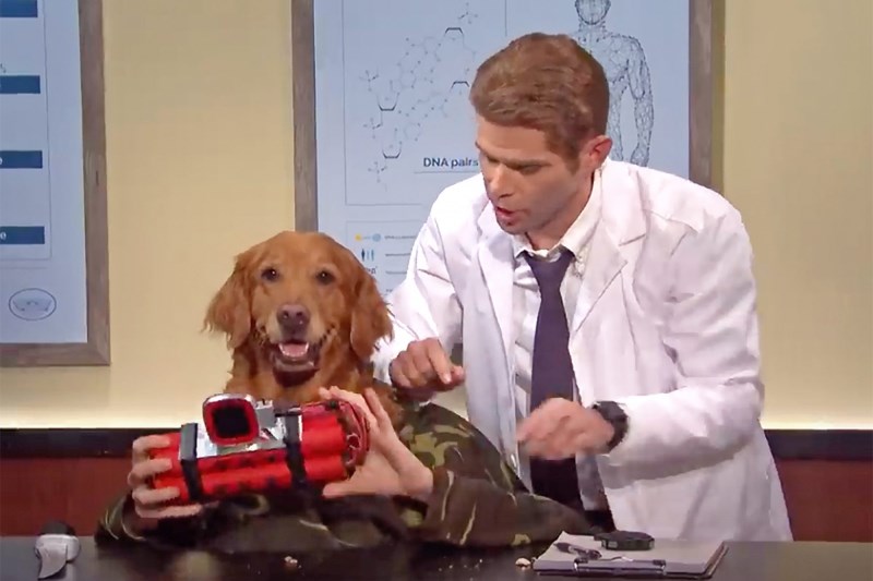 Watch SNL’s Dog Head Man Perform His Sketch to Perfection, Making His Co-Stars Break Into Laughter