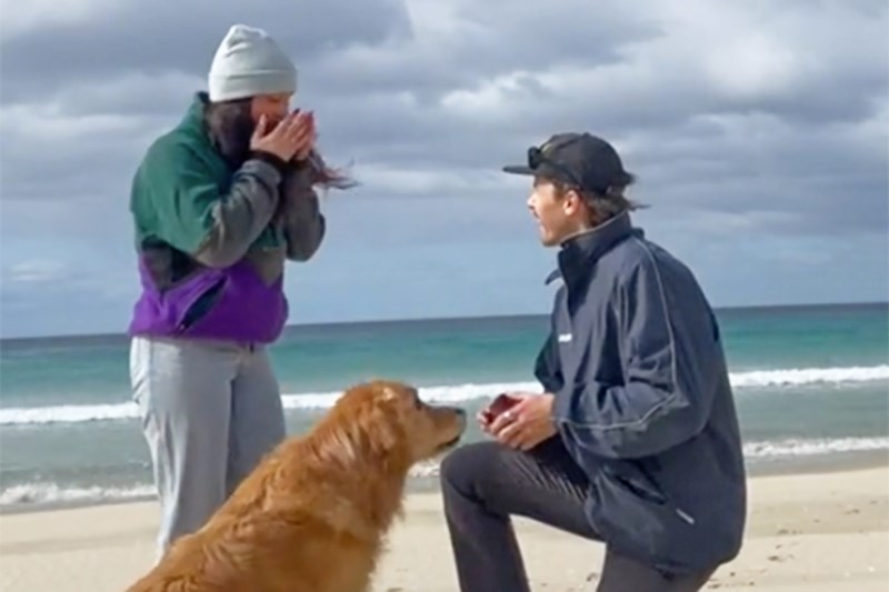 Watch This Golden Retriever Crash Parent’s Engagement Video in the Cutest Way: With Heart-Shape Zoomies