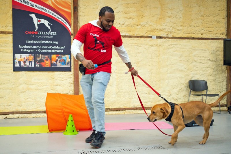 Canine Cellmates Program: Where Dogs and Men Help Each Other Get Another Chance