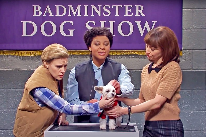 Badminster Dog Show on SNL: How We’d Help the Troubled Dogs in This Hilarious Skit