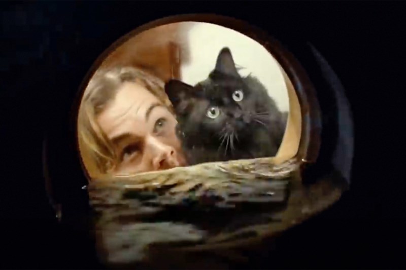 OwlKitty the <em>Titanic </em>Cat: The 7 Best Moments From the Feline-Focused Trailer