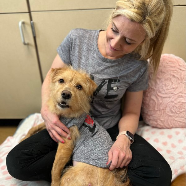 Sick, Emaciated Dog Named Travolta Adopted By Vet Who Helped Save His Life