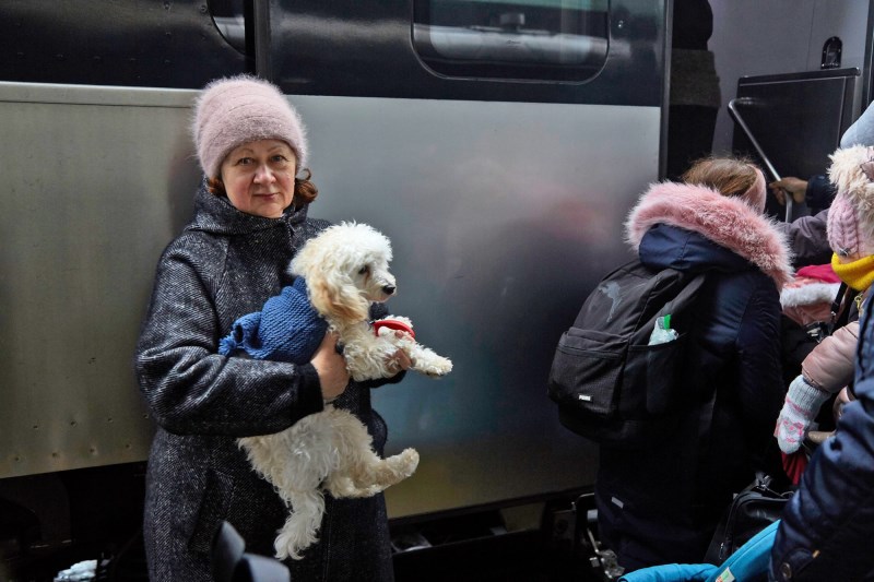 Here’s How You Can Help the Pets Fleeing Ukraine and the Animals That Are Still There