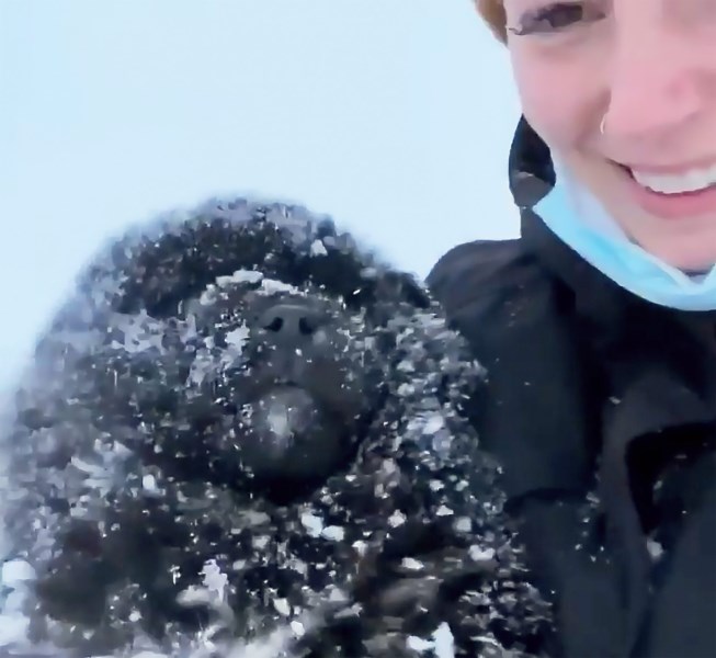 Determined Rescuers Save Puppies from a Garbage Dump—and a Blizzard