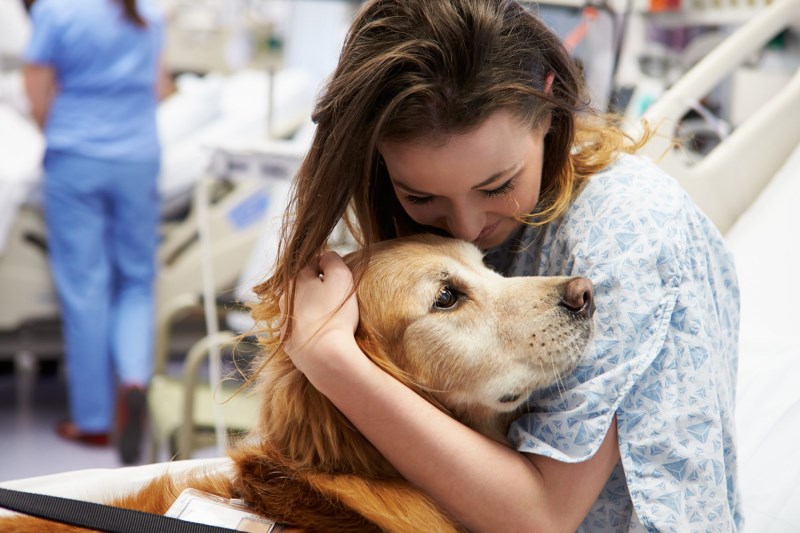 A New Study Found That Affection From Dogs Could Ease Physical Pain in Humans