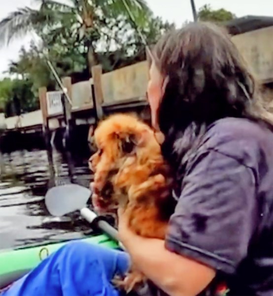 Watch the Amazing Moment This Pet Detective Finds a Pomeranian Who Was Missing for 8 Hours in a Florida Canal