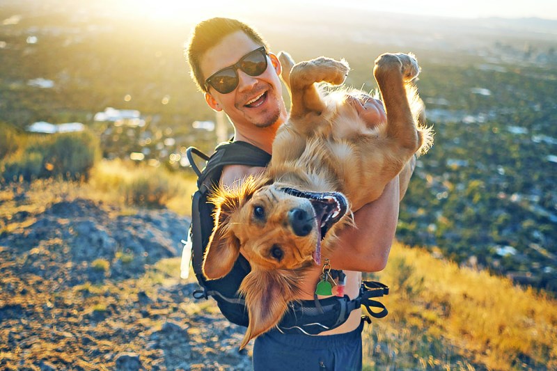 Seen This Golden Retriever’s ‘Nala Stomps’ on TikTok? Here’s the Story Behind Her Dance-y Butt