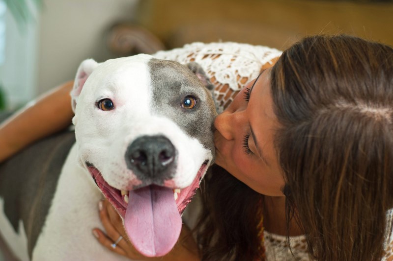 Ditch the Stereotypes: Our Dogs’ Behaviors Aren’t Determined By Only Their Breeds, Study Finds