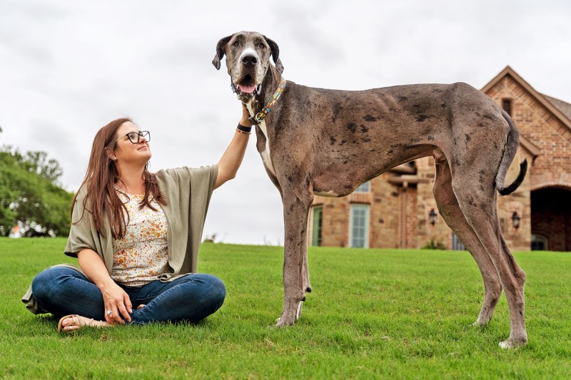 The World’s Tallest Living Dog Is a Great Dane Who Eats 12 Cups of Food Each Day