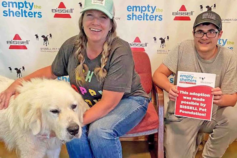 ‘The Best Boy’: Bear the Great Pyrenees Survives Hoarding Situation and Serious Injuries To Find a Loving Home