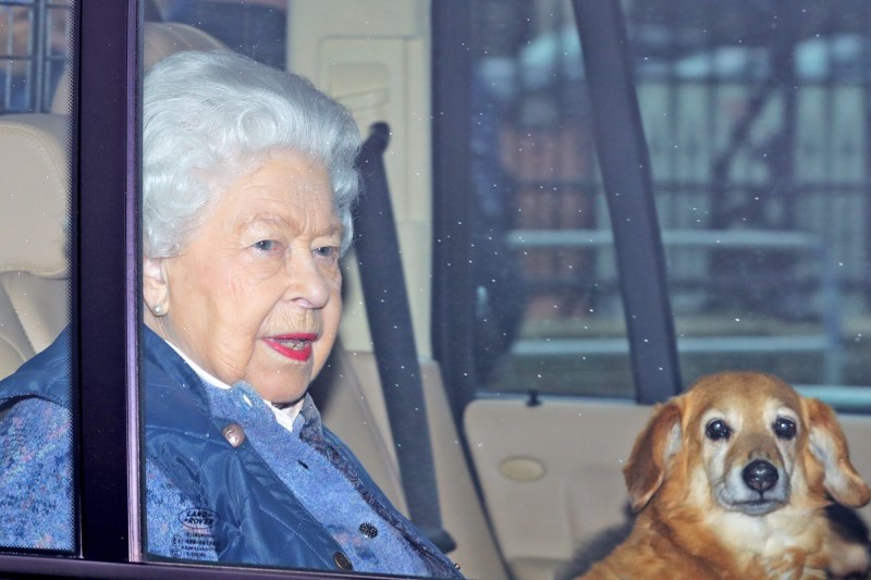 Queen Elizabeth’s 2 Corgis Will Live With Prince Andrew After Monarch’s Death