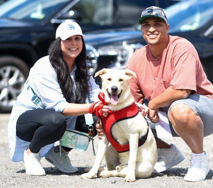 These Rescue Flights Brought 300 Pets Closer To New Families While Easing Puerto Rico’s Homeless Pet Problem