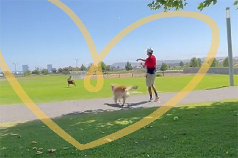 Watch This Dog Dad Sweetly Throw a Separate Ball So His Older Pup Can Still Fetch