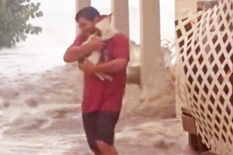 Watch This Brave Floridian Save a ‘Terrified’ Cat From Raging Hurricane Ian Floodwaters