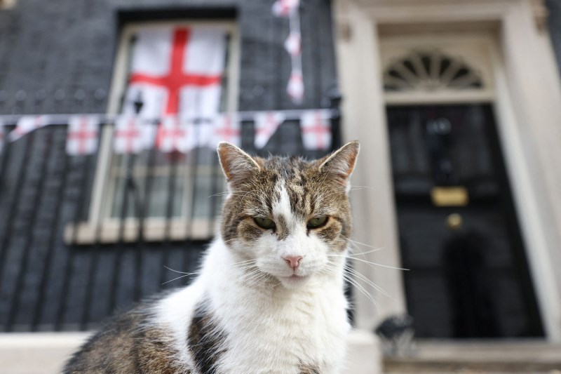 Larry the Cat Has Outlasted Yet Another British Prime Minister at No. 10 Downing Street