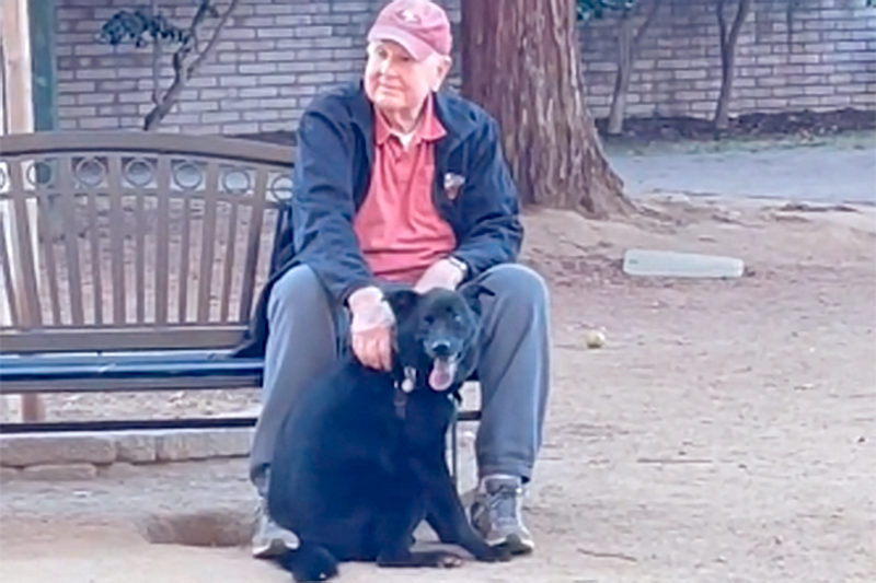 Watch This Cordial Pup Befriend a Stranger at the Dog Park With Some ‘Extra Love’